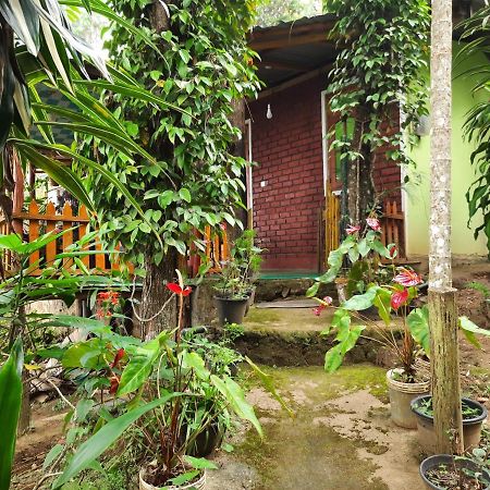 Green Heaven Lodge Ella Luaran gambar