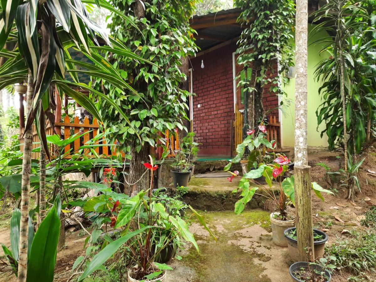 Green Heaven Lodge Ella Luaran gambar