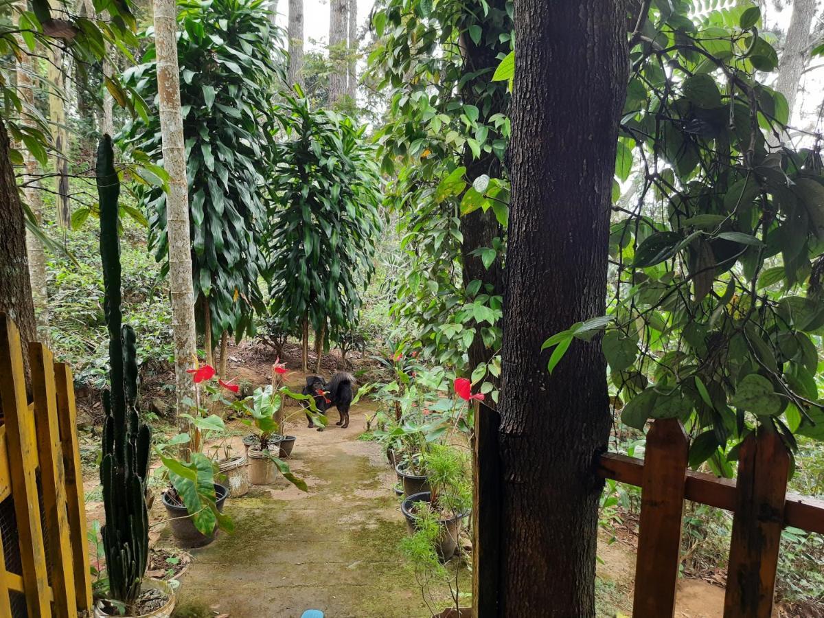 Green Heaven Lodge Ella Luaran gambar