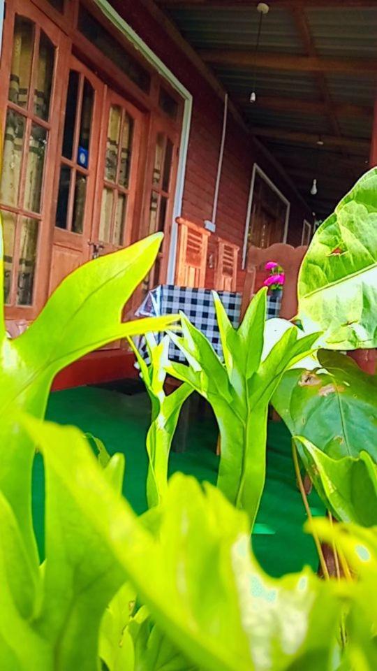 Green Heaven Lodge Ella Luaran gambar