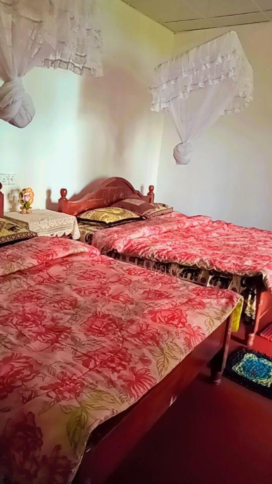Green Heaven Lodge Ella Luaran gambar