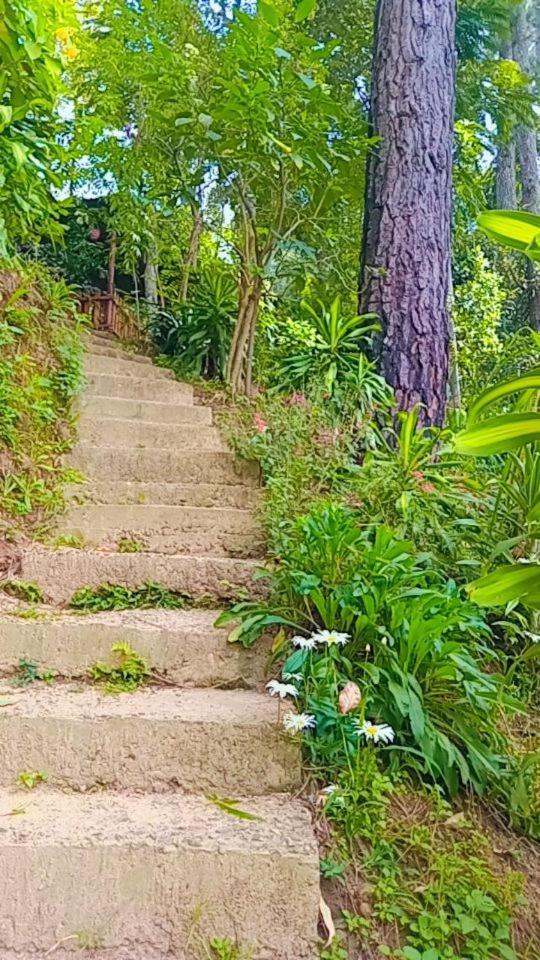 Green Heaven Lodge Ella Luaran gambar