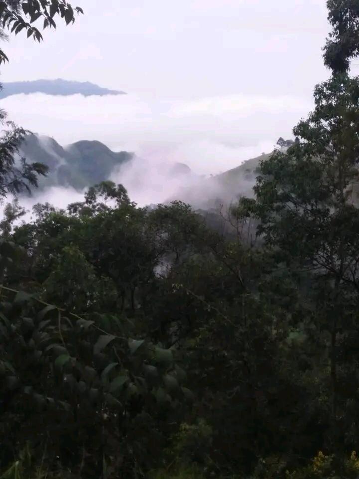 Green Heaven Lodge Ella Luaran gambar
