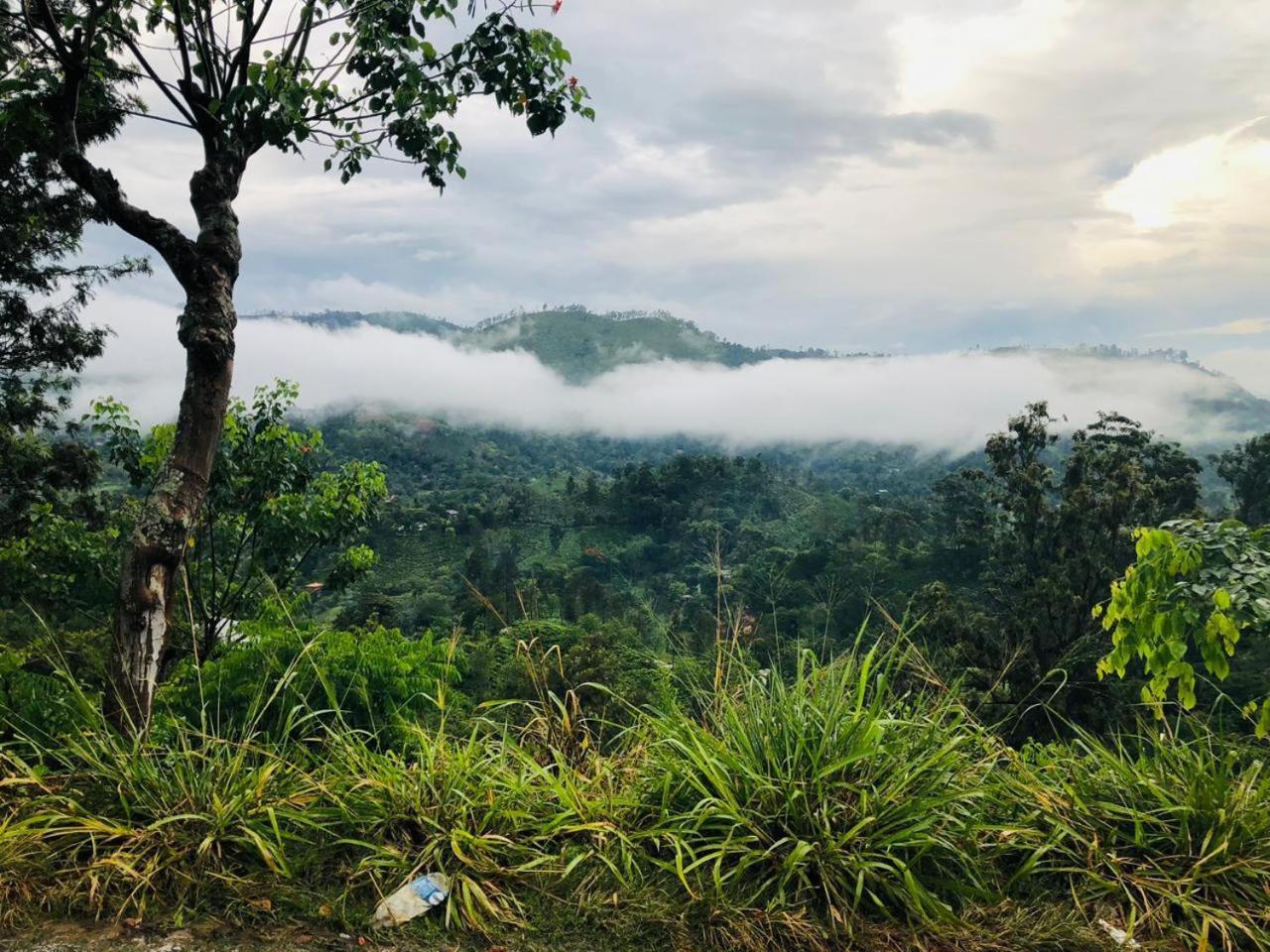 Green Heaven Lodge Ella Luaran gambar